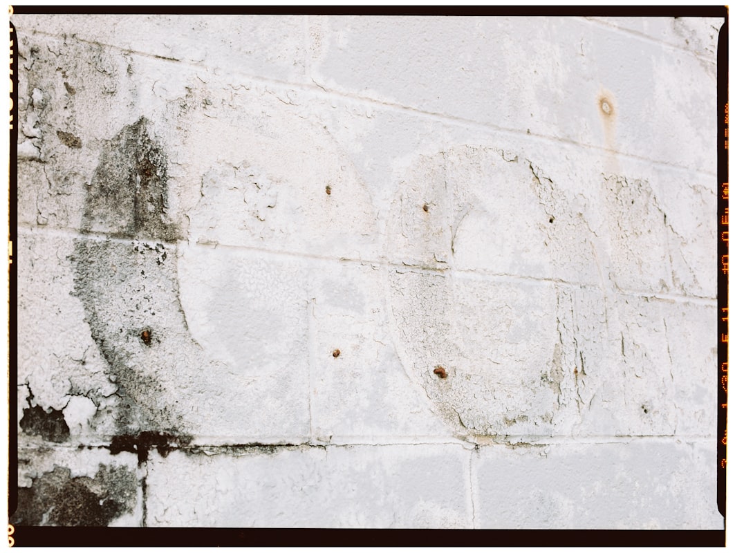 Basement Water Removal service in Conroe, TX