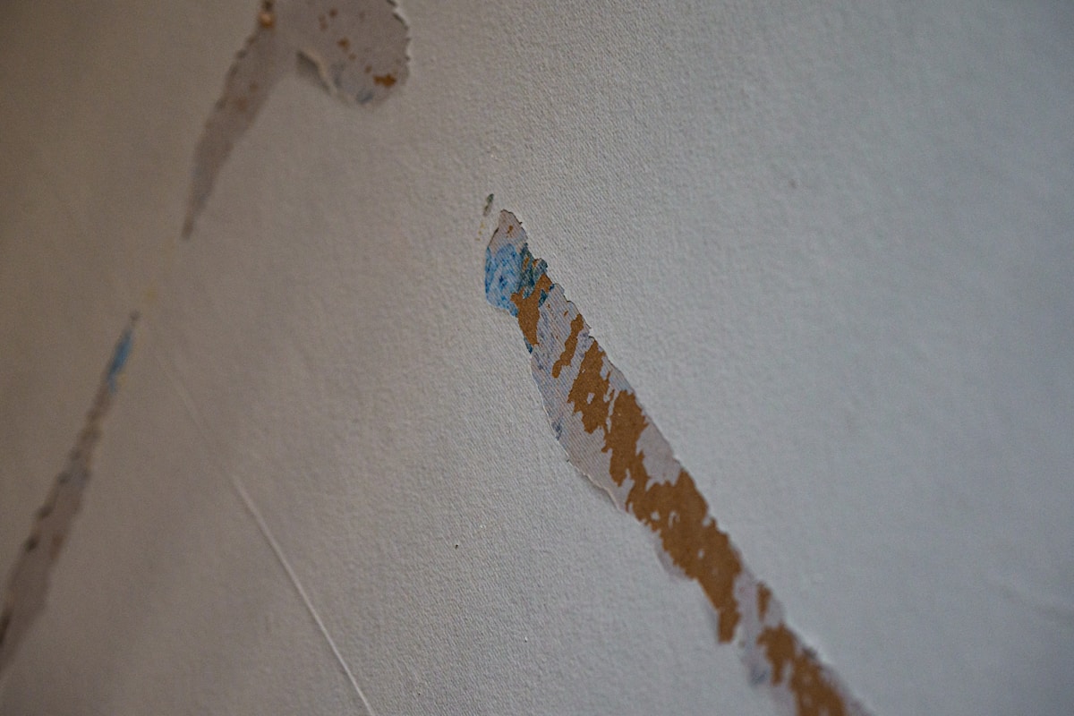 Sewage Cleanup service in Conroe, TX